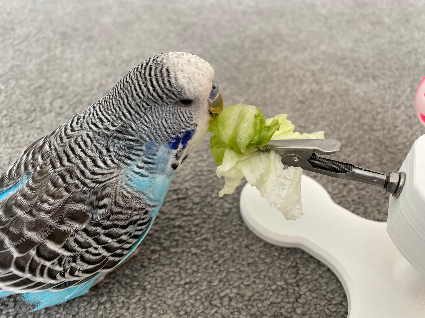 Rotating Bird Toy With Food Clips To Hold Treats.
