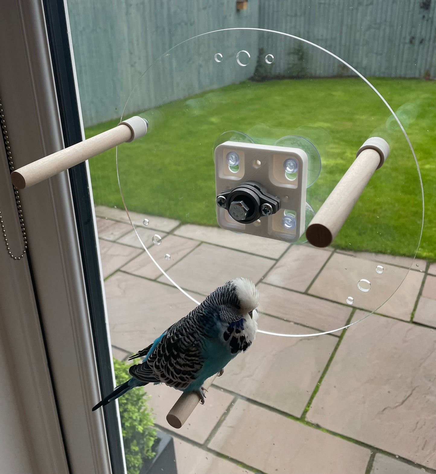 Bird Perch Wheel, Rotating Bird Perch Wheel, Two sizes, (For Small - Medium Birds) NOT LARGE BIRDS.