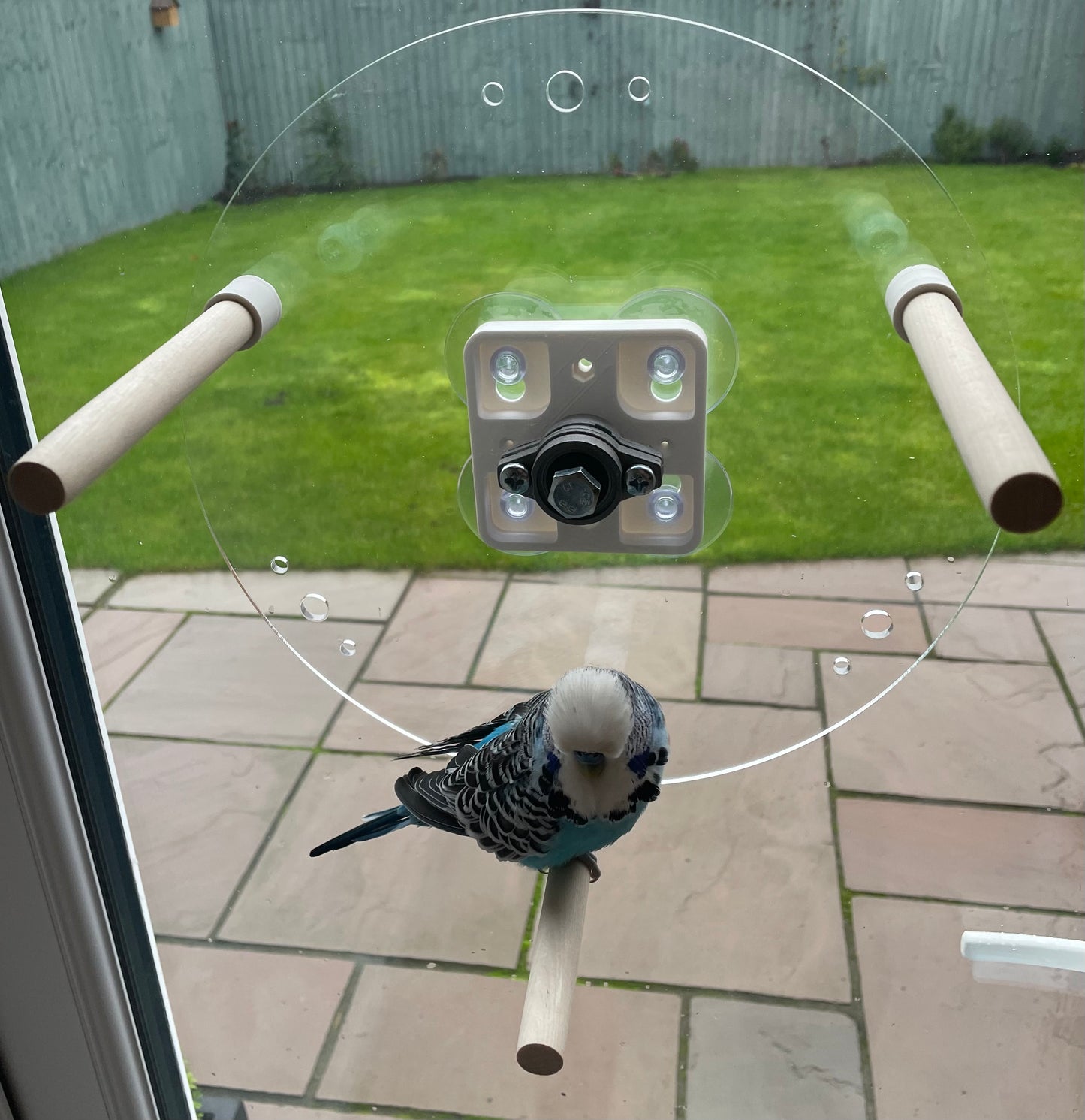 Bird Perch Wheel, Rotating Bird Perch Wheel, Two sizes, (For Small - Medium Birds) NOT LARGE BIRDS.