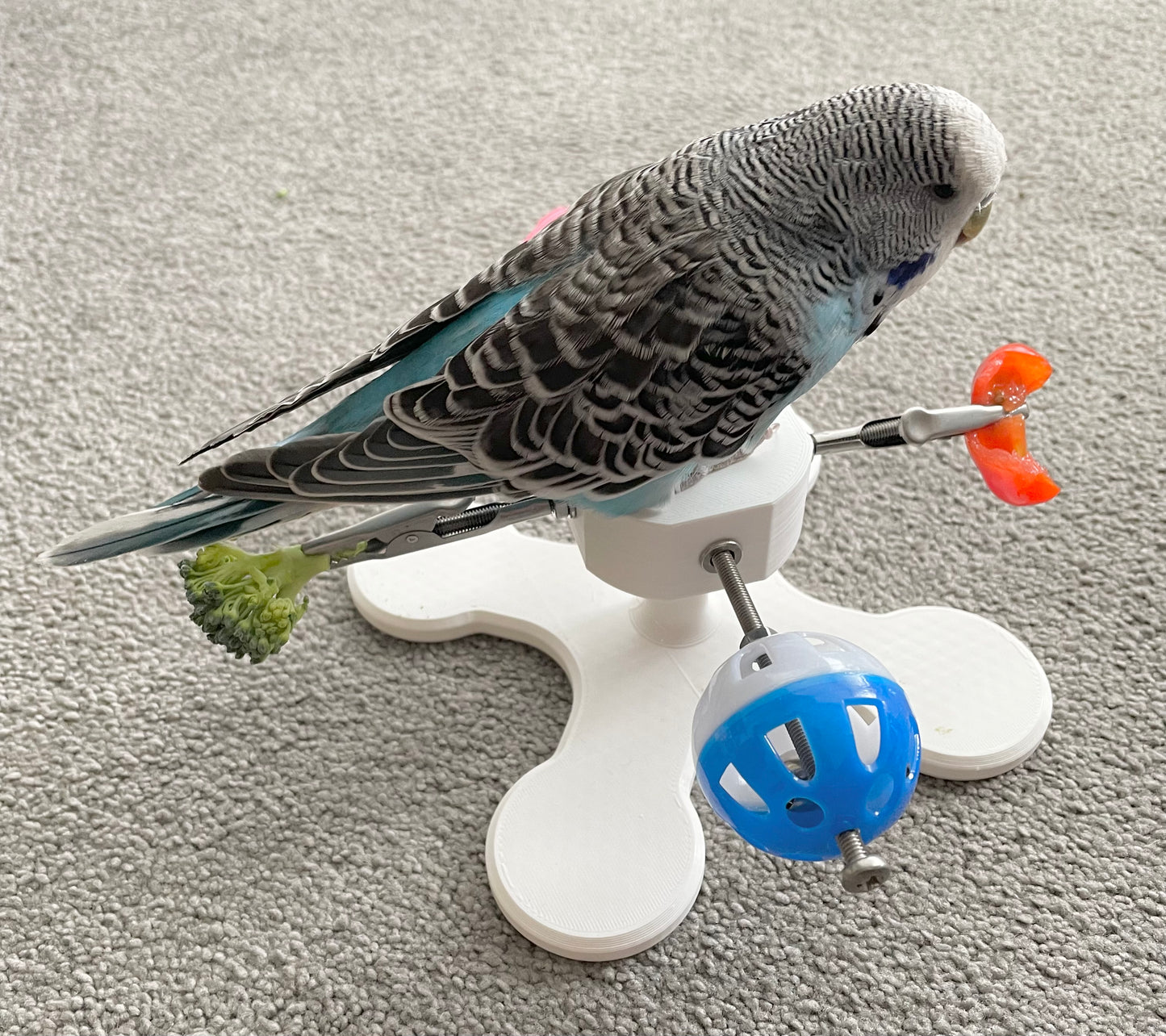 Rotating Bird Toy With Food Clips To Hold Treats.