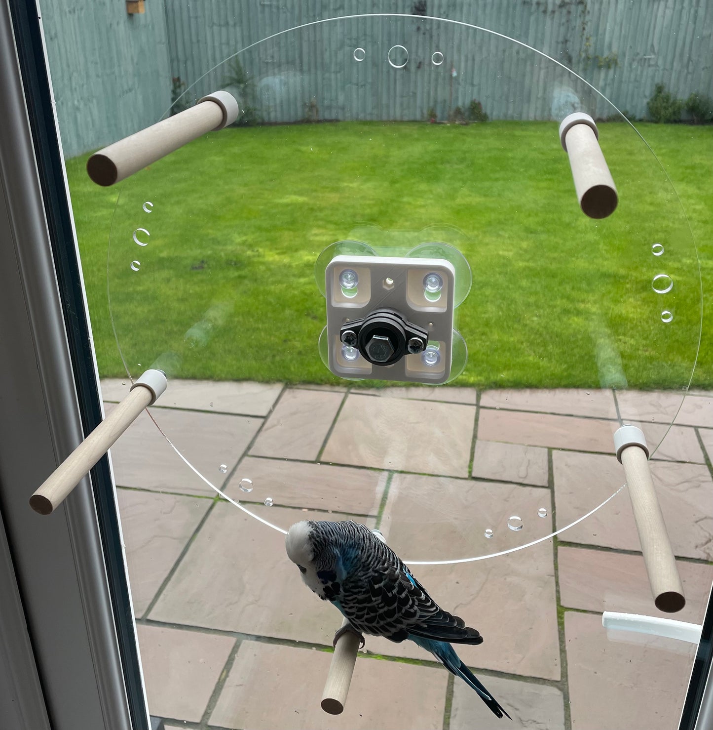Bird Perch Wheel, Rotating Bird Perch Wheel, Two sizes, (For Small - Medium Birds) NOT LARGE BIRDS.