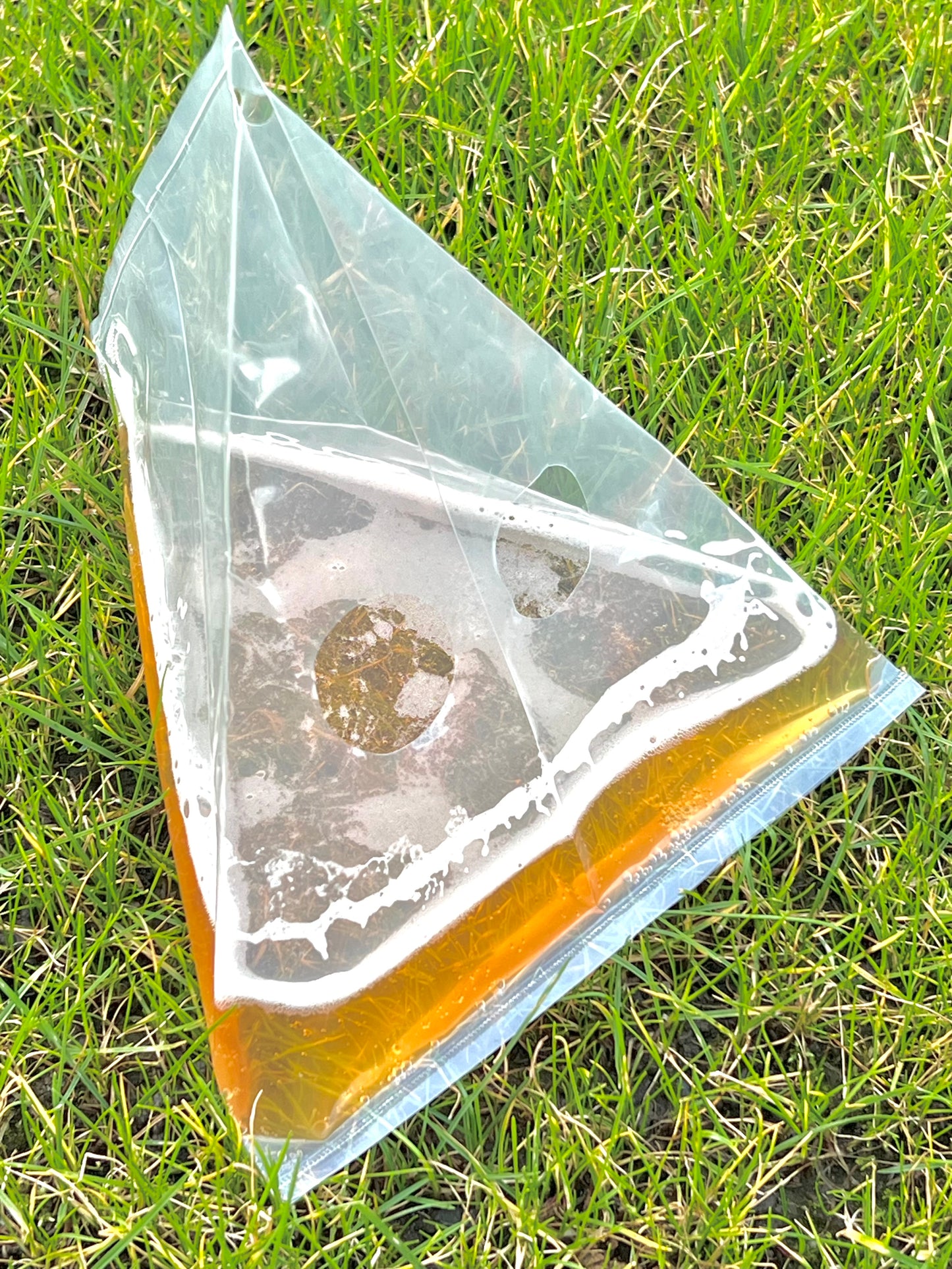 Slug Traps