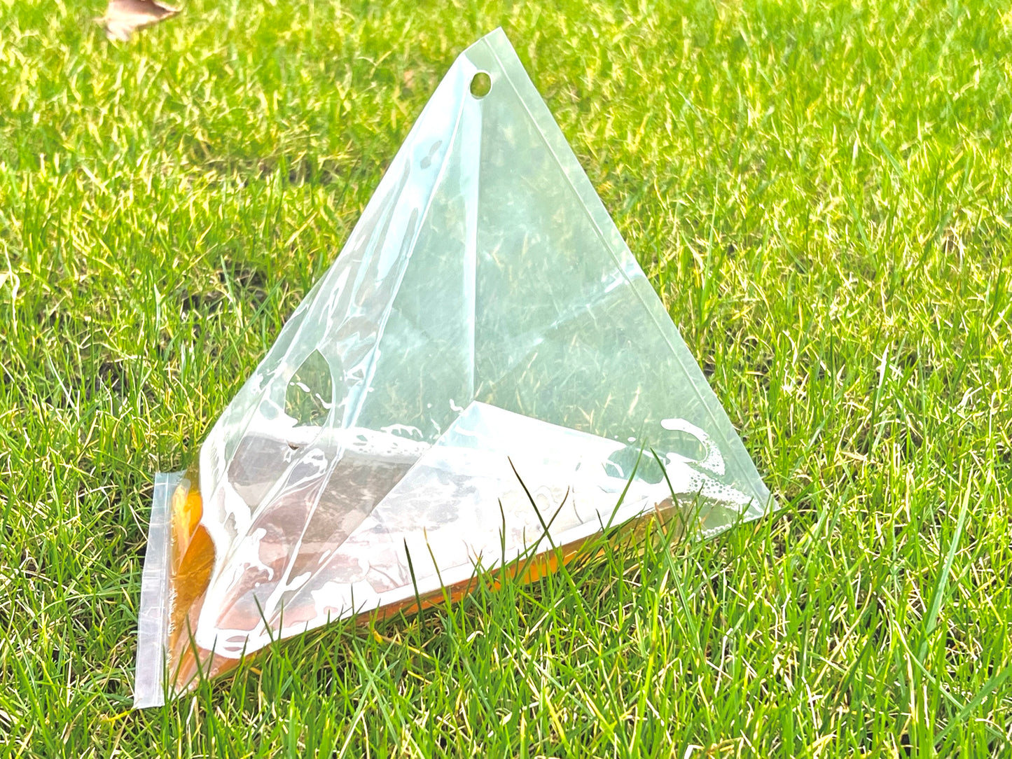 Slug Traps