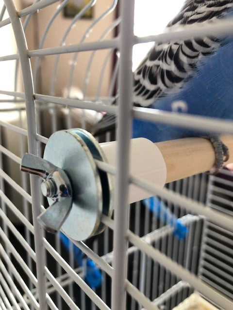 Screw On Bird Cage Perches (15mm diameter)