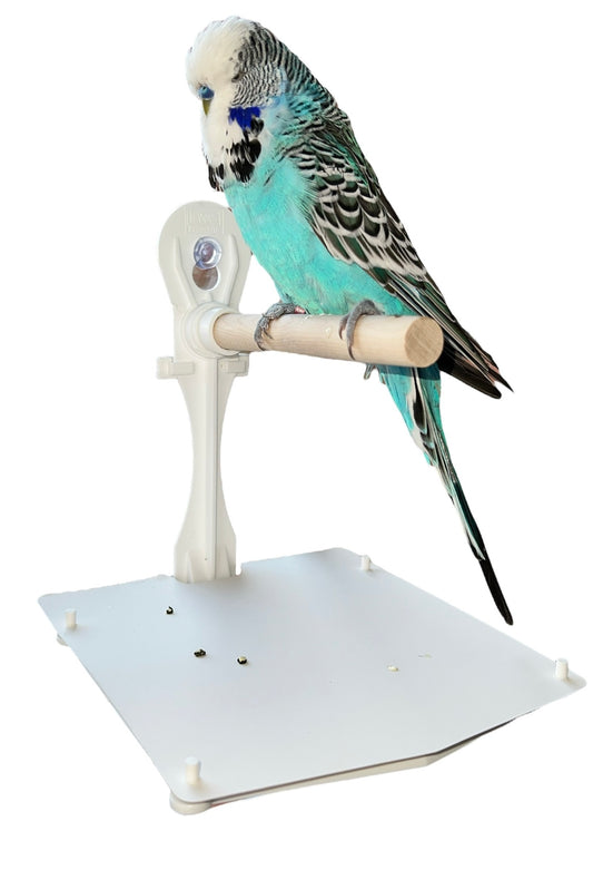 Stick On Window Bird Perch With Removable Droppings Tray And Tray Cover, For Small - Medium Birds