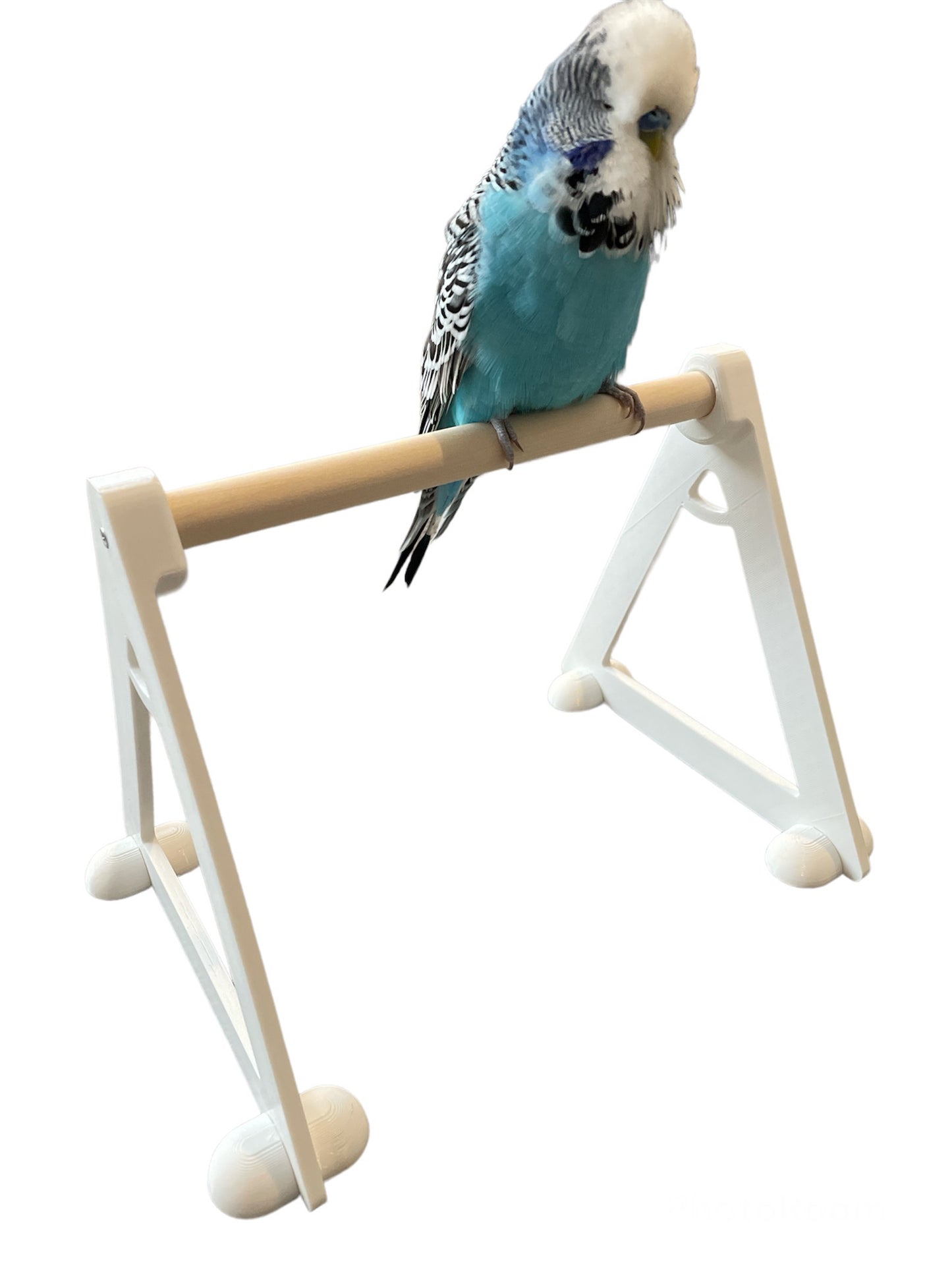 Bird Perch Floor Stand Platform (for small to medium size birds)