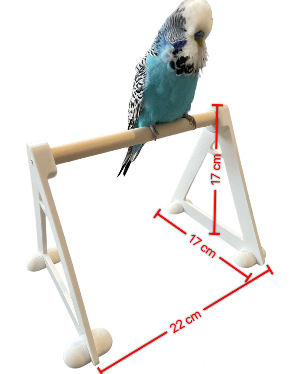 Bird Perch Floor Stand Platform (for small to medium size birds)