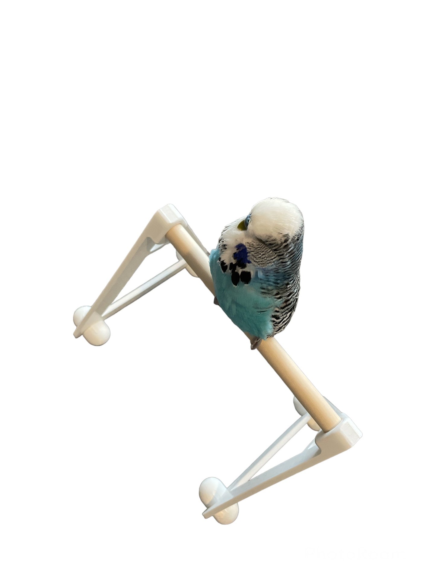 Bird Perch Floor Stand Platform (for small to medium size birds)