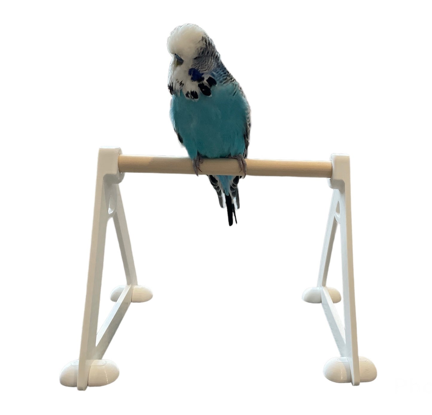 Bird Perch Floor Stand Platform (for small to medium size birds)