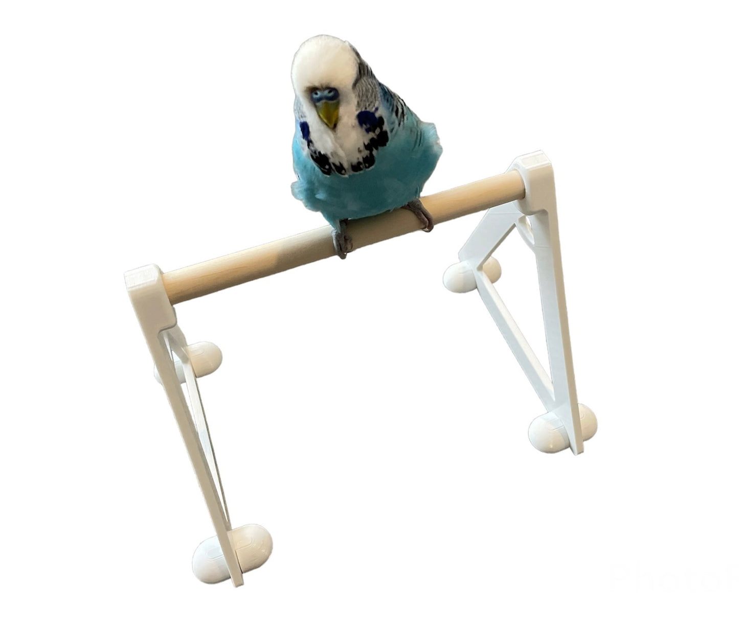 Bird Perch Floor Stand Platform (for small to medium size birds)