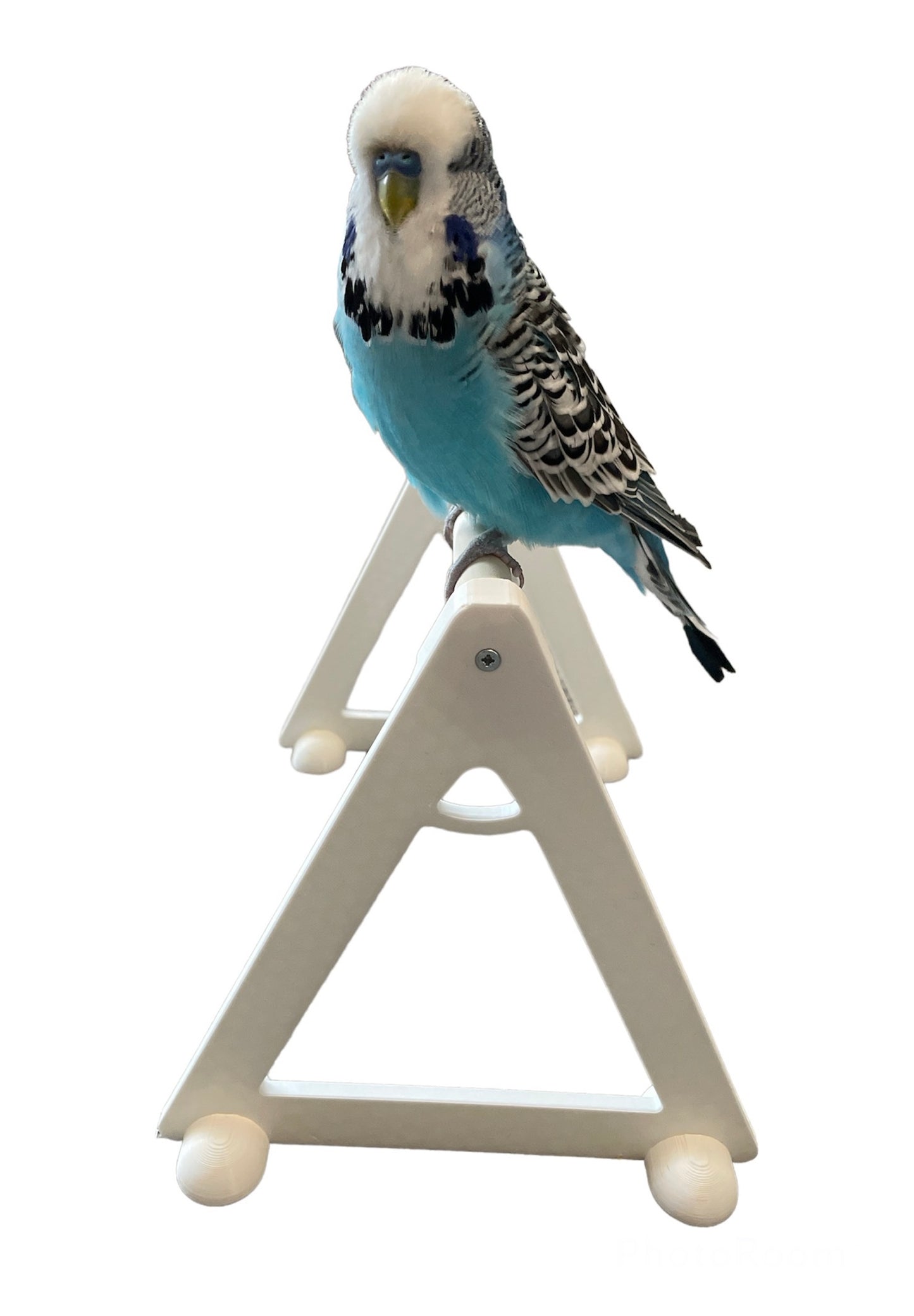 Bird Perch Floor Stand Platform (for small to medium size birds)