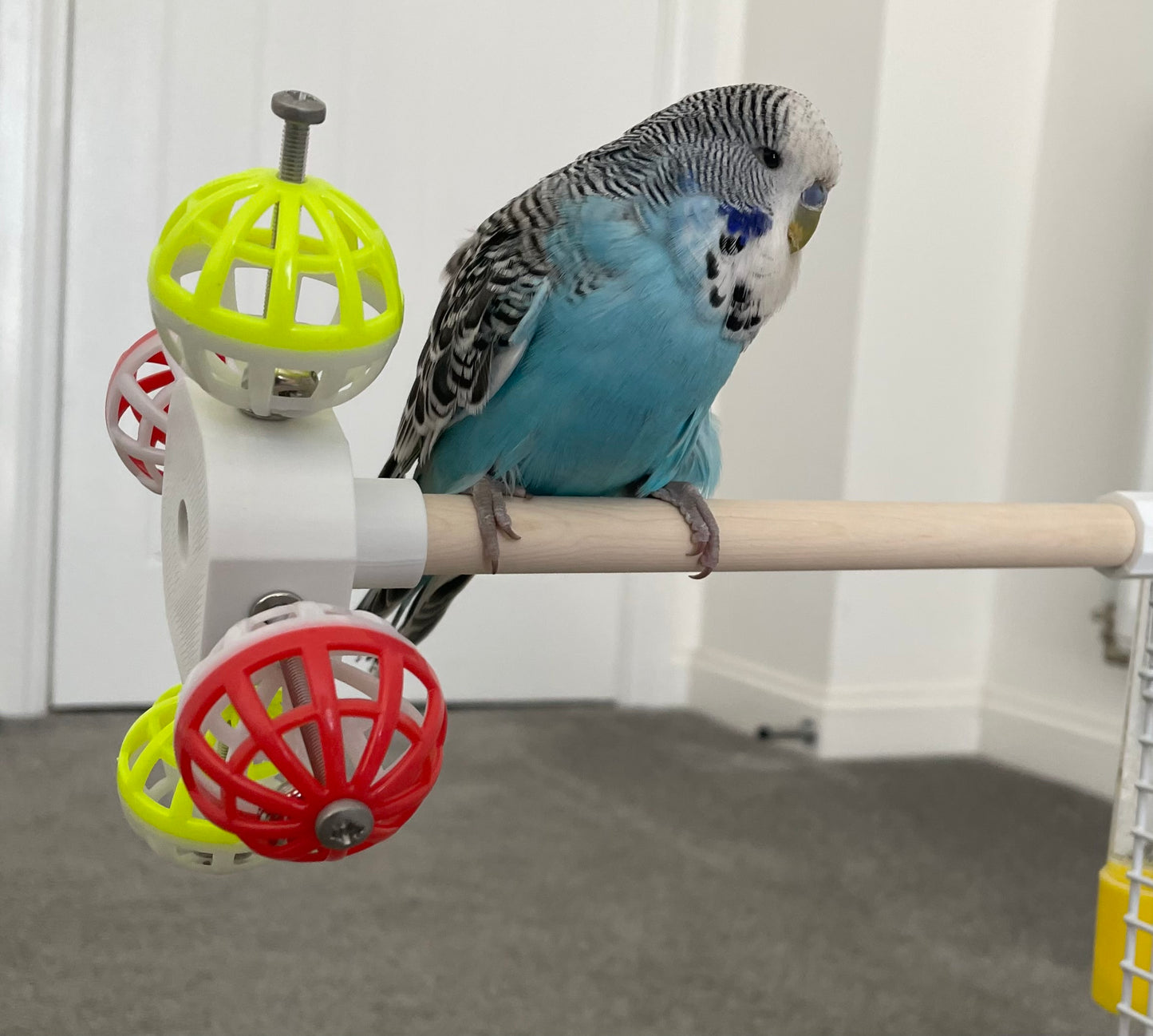 Rotating Bird Perch Toy, For Small - Medium Size Birds