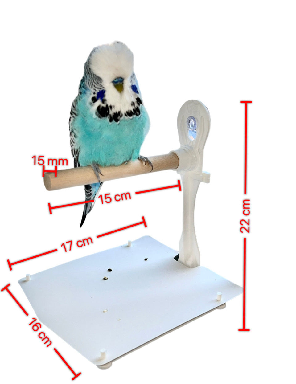 Stick On Window Bird Perch With Removable Droppings Tray And Cover, For Small - Medium Birds