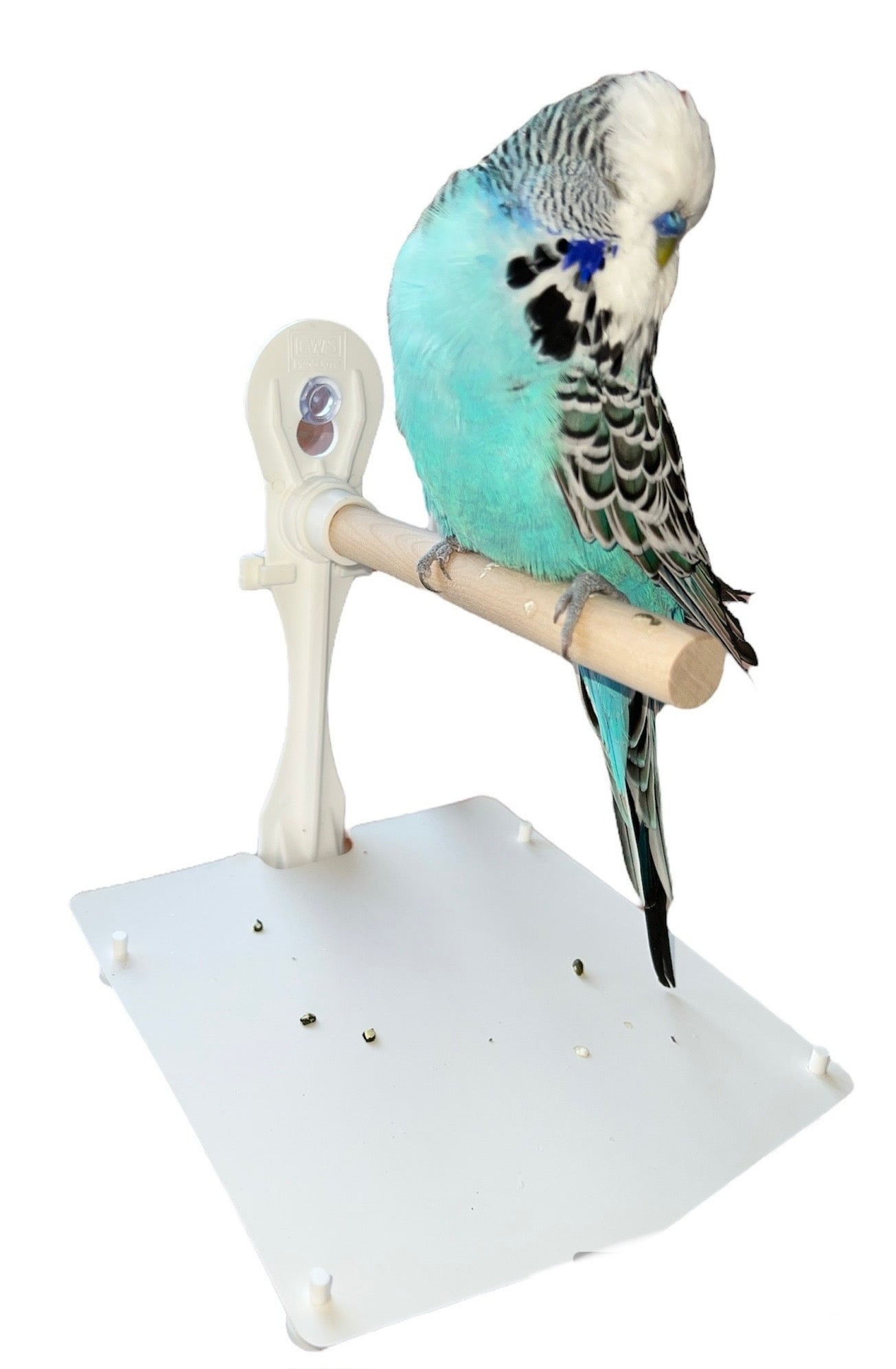 Stick On Window Bird Perch With Removable Droppings Tray And Cover, For Small - Medium Birds