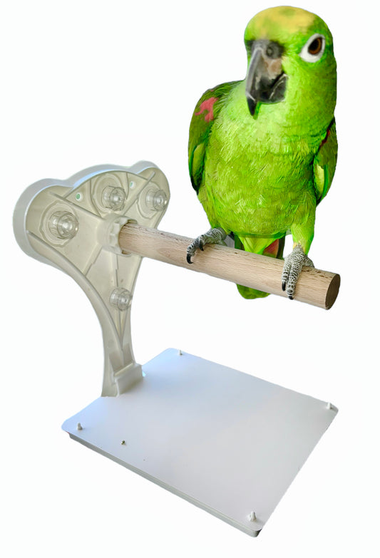 Large Window Bird Perch With Droppings Tray, For Medium To Large Birds, Bird Shower Perch, Portable Suction Cup Bird Perch.