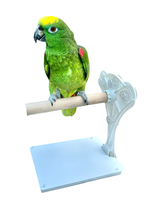 Large Stick On Window Bird Perch With Removable Droppings Tray And Tray Cover, (For Medium - Large Birds)
