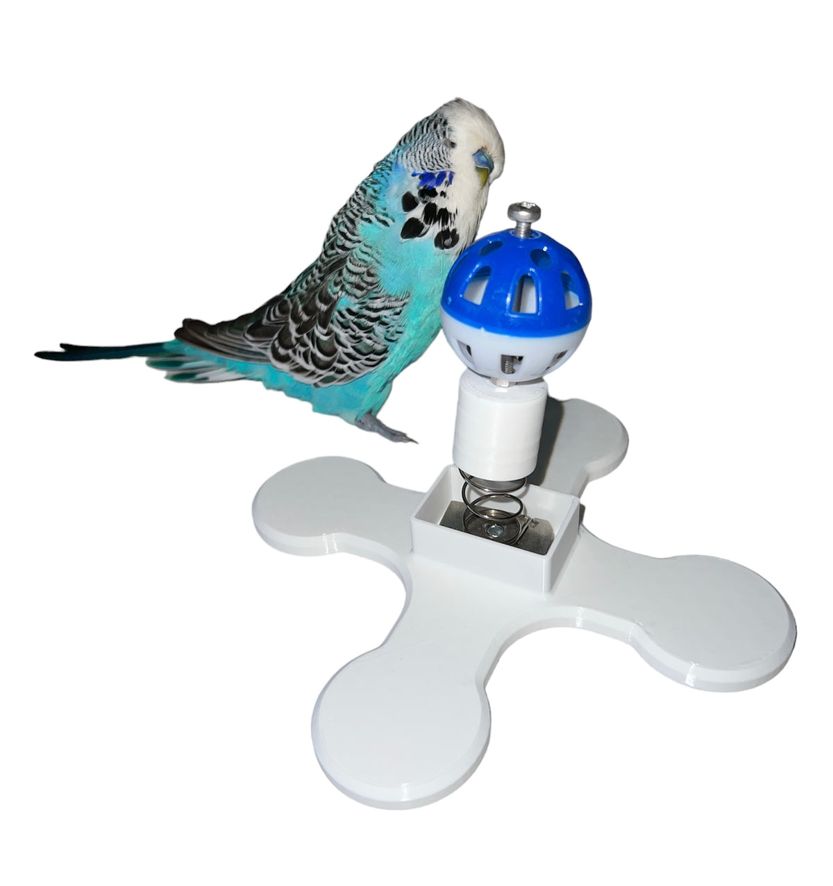 Spring Ball Items Bird Spring Ball Toy, For All Birds – EWS PRODUCTS
